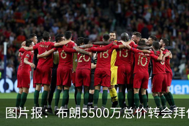 图片报：布朗5500万总价转会拜仁已进入最后阶段 将在美国体检